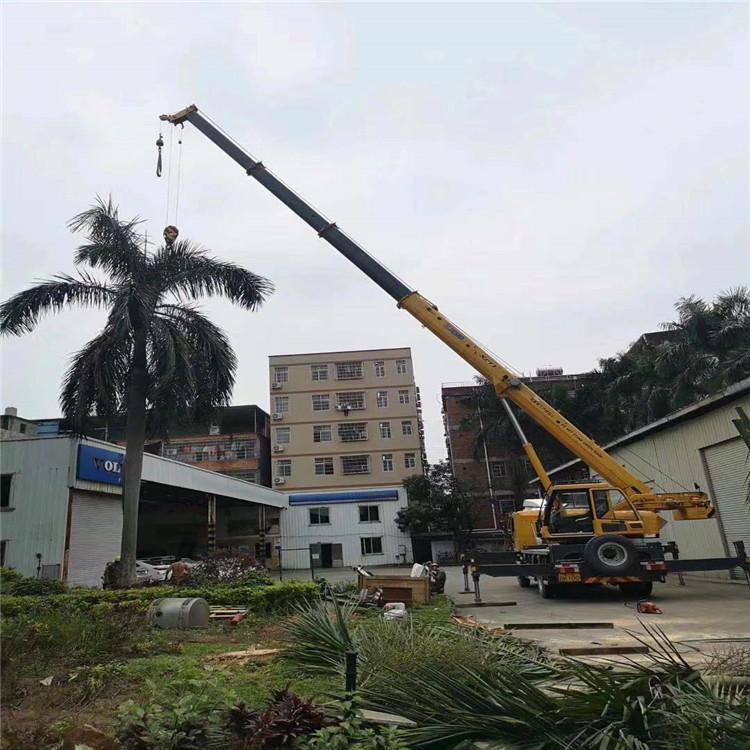 雄县吊车出租事故案例分析：如何避免设备倾覆风险